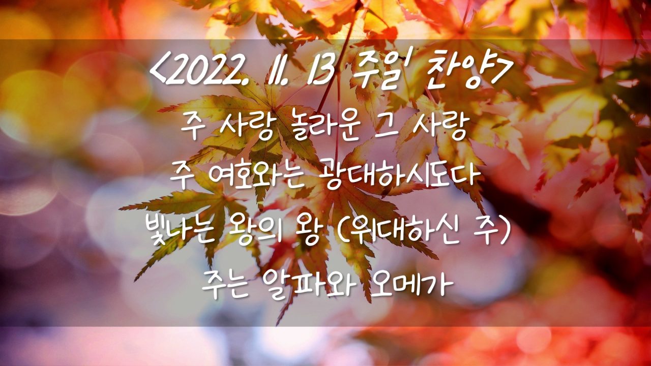 221113 주일찬양 – 주 사랑 놀라운 그 사랑, 주 여호와는 광대하시도다, 빛나는 왕의 왕 (위대하신 주), 주는 알파와 오메가